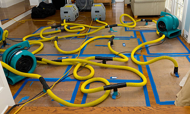 Professional Sewage Cleanup technician working in Kenilworth, IL